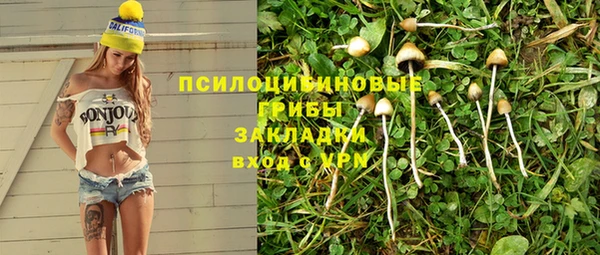 МДМА Богданович