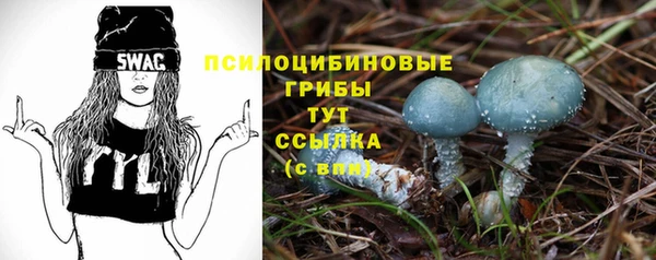 МДМА Богданович