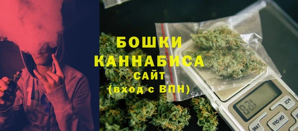 кокс Бородино