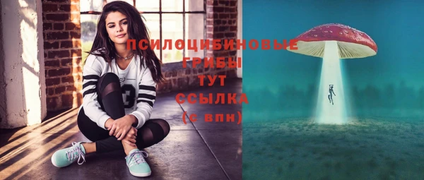 кокс Бородино