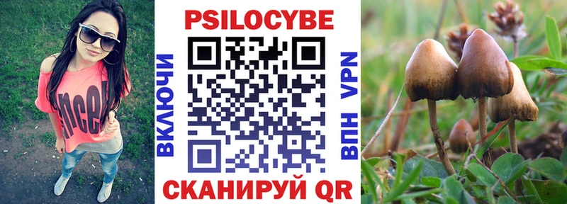 продажа наркотиков  Невьянск  Псилоцибиновые грибы Cubensis 